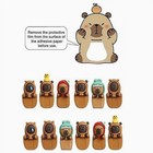 Capybara  Hugger Blind Box
