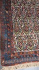 Rare Fine Antique Genuine Senneh Handmade Rug Paisley Boteh Design 