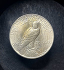 Peace Dollar From Bank Roll Estate Sale Hoard Gem Uncirculated 90  Silver