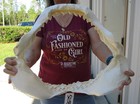 19  Tiger Shark Jaw  Shark Teeth  Sharks  52158