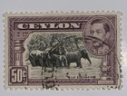 Travelstamps  1938 Ceylon Stamps Sc   286 King George Vi  Used  Ng  Hinged  50 C