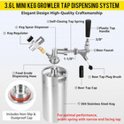 128oz Mini Beer Keg Growler Mini Kegerator - Portable Draft Beer Dispenser Syste