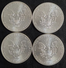 2013 Silver Eagles   Sold Seperatley 