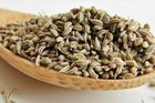 Carom Seeds Heirloom 300  Seeds 100  Organic Non Gmo Grown In Usa