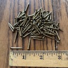 3 4    X 14 Ga  Brass Plated Antique Escutcheon Pins Round Dome Head Free Shipping