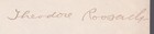 Theodore Roosevelt - Typed Letter Signed 11 26 1910