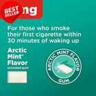 Nicotine Gum 4mg Mint Flavor Stop Smoking Aid 310 Count - Us