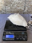 50   Quail Hatching Eggs- Jumbo Xxl White Coturnix