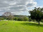 2 Side-by-side Plots In Carnation Lawn  Rose Hills Memorial Park   Mortuary