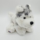 Webkinz Lil kinz Retired Husky Hs120 - New With Sealed Code