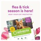 Topical Flea Treatment For Cats And Kittens 4-month Supply Flea Control