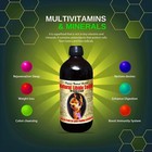 Natural Libido Tonic - Boost Your Energy And Vitality - 16oz - Pack Of 5
