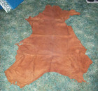 Pa Whitetail Deer Tanned Hide Skin Large