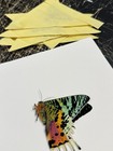 Real Madagascar Sunset Moth Specimen  A1 Wings Folded   Papered