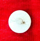 Vintage Hand Painted Wisteria Satsuma Porcelain Button