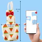 Birds Pigeon Diaper Pants Harness And Leash  Bird Xl-watermelon  Watermelon 