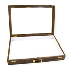 Insect Storage Box - Polished Wood- Eisco Labs