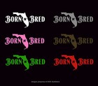 Born N Bred State Of Florida Window Decal native cracker home Grown sticker