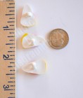 10 Candy Corn Theme Craft Embellishments   Shank Back   Halloween Crafts