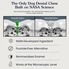 Arterra Dental Chews For Dogs With Nano-nydroxyapatite 14 Count