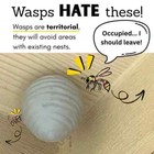 4 Pack Wasp Nest Decoy  durable Plastic  Not Paper  Hornet Decoy  Deterrent