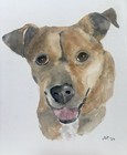 5x7 Dog Portrait Watercolor Painting Hand-painted Pet Portrait-made-to-order