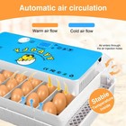 Incubators For Hatching Eggs 15-35 Incubator With Automatic Egg Turning And       