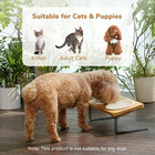 Elevated Cat Ceramic Bowls  Small Dog 15   Tilted Raised Food Feeding Dishes  Sol