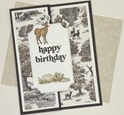 Masculine Birthday Card     Fun Fold