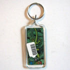 Belize Souvenir Keychain Lizard Palm Fronds Flag Split Ring