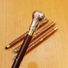 Nautical Brass Round Design Head Handle Victorian Wooden Walking Stick Cane 