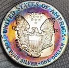1993 American Silver Eagle 1 Oz 999 Fine Silver Coin Uncirculated Toning Toned