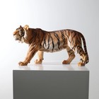 1 6 Scale Emulation Resin Tiger Figure Painted Gk Model Animal Sculpture Gift