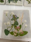 Salt Marsh Pottery Dartmouth Ma Tile Trivet Impressed Floral- Lot 4 Wall Art Euc
