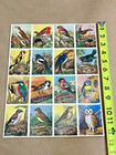 X10 Sheets Vintage England Embossed Cards Scrap Die Cut - Birds Mlp