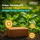 Coco Coir Brick 10 Lbs     Expands To 20quarts     Organic Potting Soil- Usa Stock 