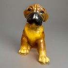 Vtg Morten s Studio Boxer Puppy Dog Figurine Royal Design Show Dog - Signed