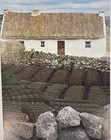 Original Vintage Ireland Travel Cottage Poster Irish Tourist Board 40   x25   