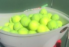 40 Used Tennis Balls For Schools  Chairs   Dog Toys