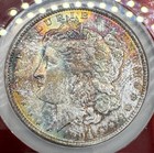 1904-o Morgan Silver Dollar - Ngc Ms 65 Star     monster Toning    