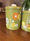 Vintage  rare  Avacado Green Flower Power Ransburg Canisters Set Of 4 Exc Mcm