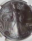 2025  1 Silver Eagle   Early Releases Ngc Ms70
