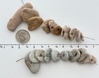 22 Holey Beach Rocks Hag Stones Adder Fairy Smooth Natural Bead Wish  1   2a2 Us