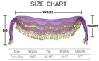 12pcs Belly Dance Hip Scarf Skirt Wrap 128 Gold Coins Chiffon Sequin Christmas