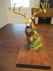 Artist Signed G vincent Sebring Fl 1995 Running Whitetail Buck Display Statue