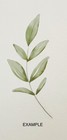 7-pack Green Leaves Wall Stickers Removable Decals Home Decor Bedroom Free Ship 