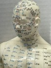 Vintage Chinese Acupuncture Doll 17    Tall No Stand