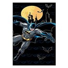 New Batman Bath Towel And Wash Cloth Set For Kids 2 Piece Multicolor Bath Set 