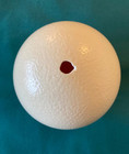 Genuine Ostrich Egg Shell For Craft Art Decoration Single Hole Clean 5 