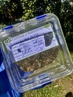 Meteorite  Nwa16497  Weight 37 3 Grams  Grams  Beautiful Full Slice